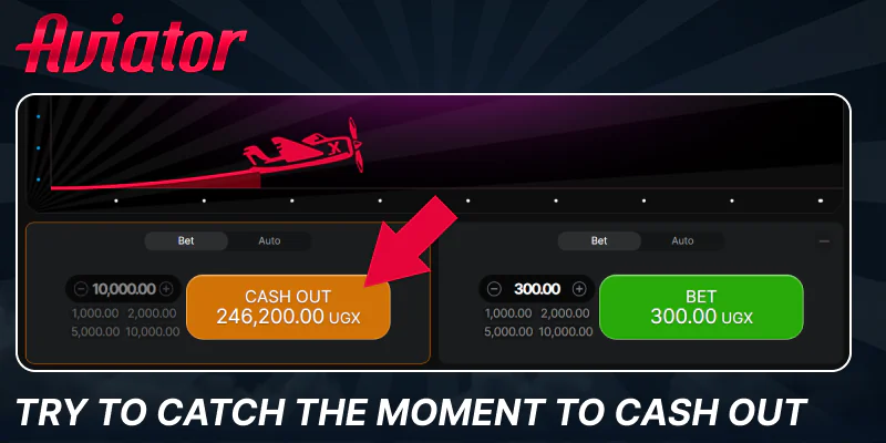 Collect your prize in Aviator game